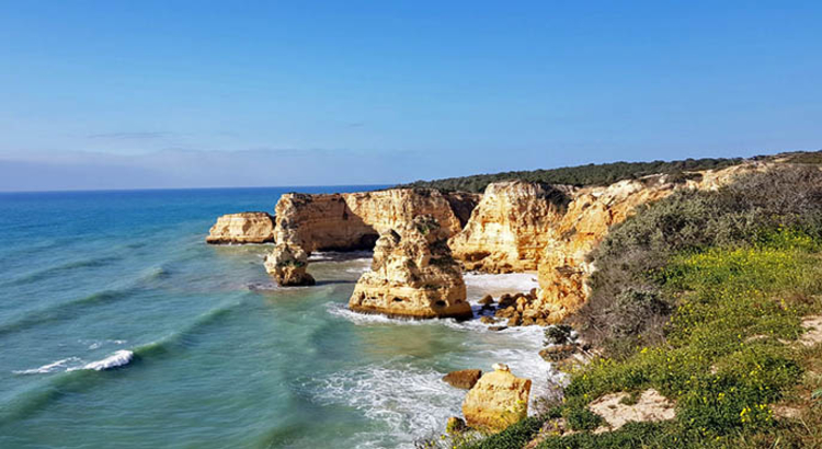 Felsenalgarve